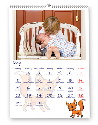 Elbűvölő állatrajzok