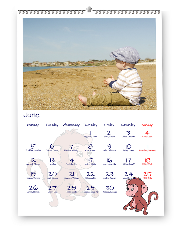 Elbűvölő állatrajzok