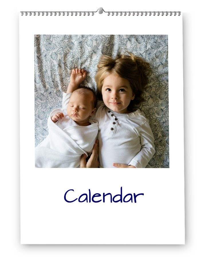 Elbűvölő állatrajzok