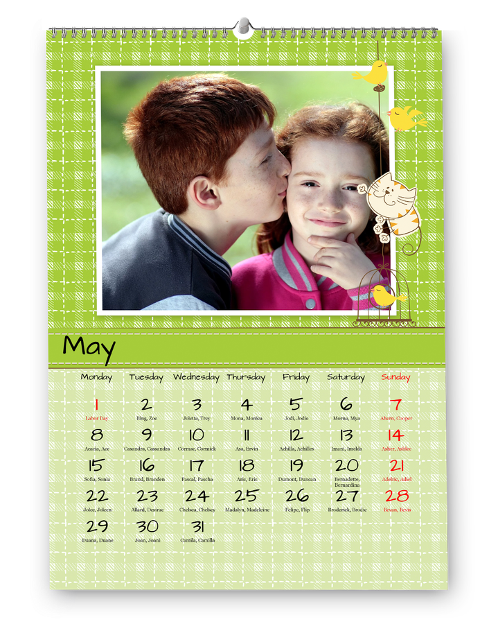 A macska és a kutya