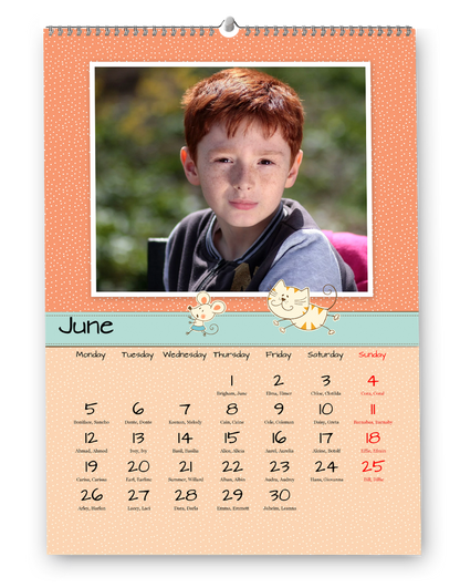 A macska és a kutya